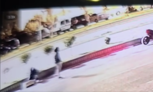 извор: коха.мк